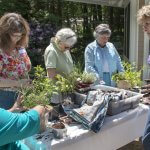 gardening class for cancer paitients