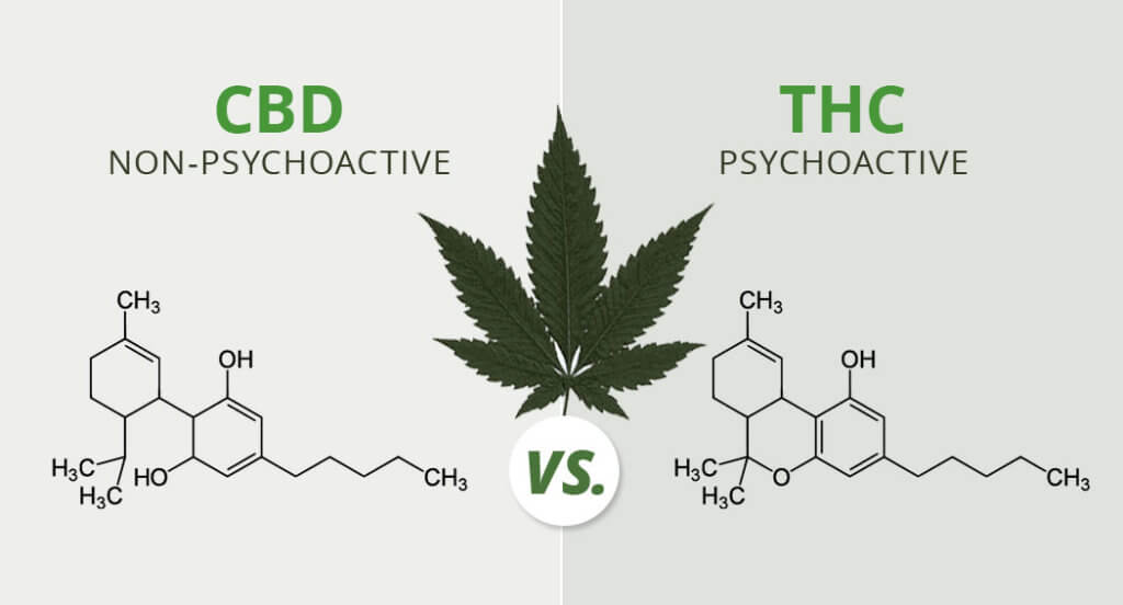 the-difference-between-CBD-and-THC-ballpark-dispensary-20170517-blog